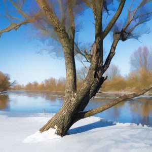 Winter river landscape. Nature composition.